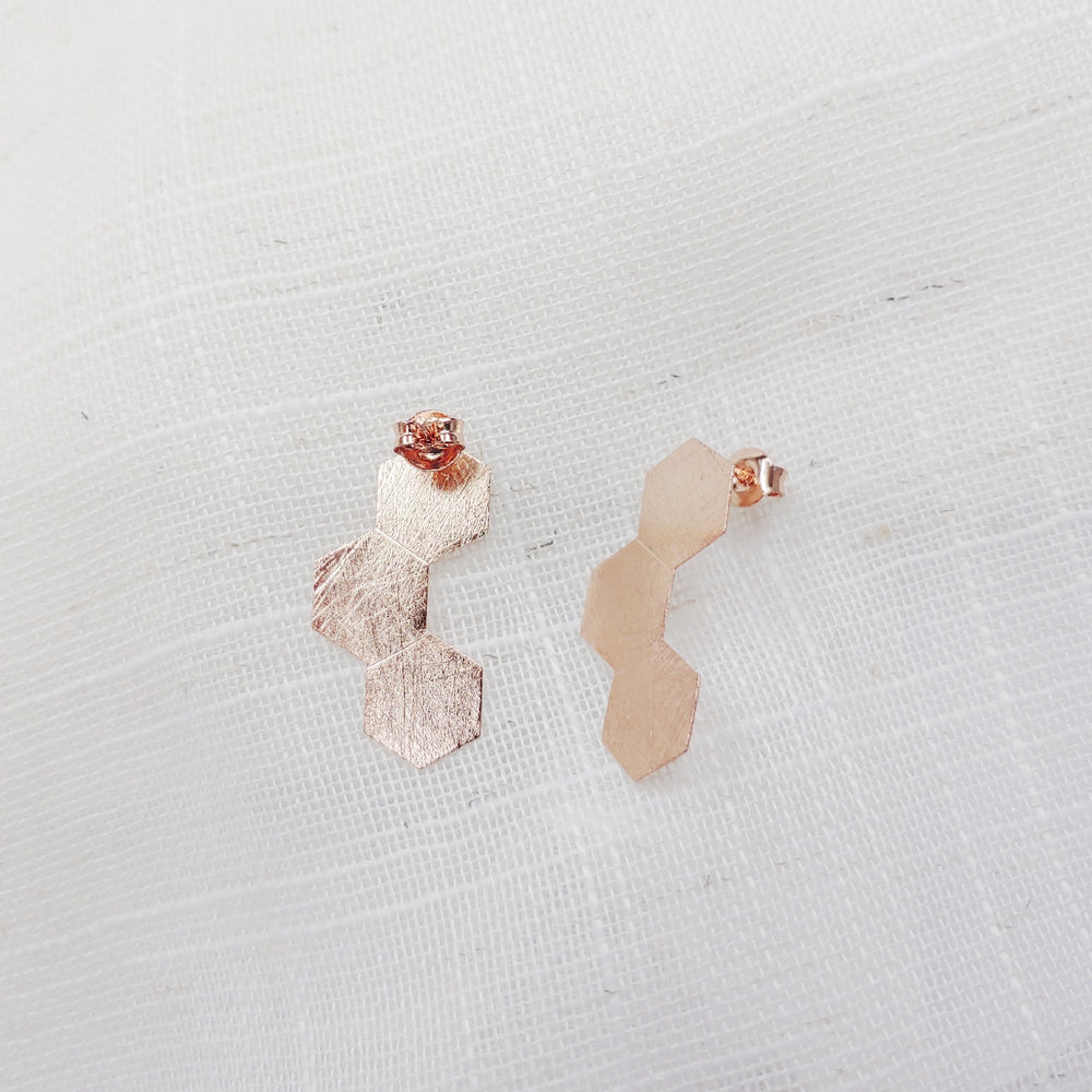 Harmony sterling silver earrings (DES1704)