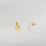 Harmony sterling silver earrings (DES1716A)