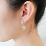 Wisdom sterling silver stylish earrings (DES2153A)